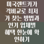 미국렌트카가격비교
